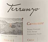 Terrunyo Concha y Toro Carmenere Block 27